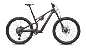 Stumpjumper 15 EVO Expert Di2