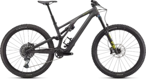 Stumpjumper EVO Expert