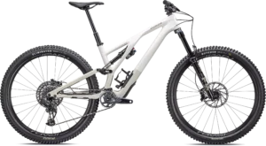 Stumpjumper EVO Expert