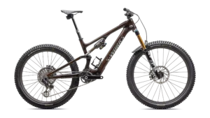 S-Works Turbo Levo SL 2