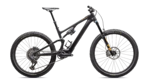 Turbo Levo SL 2 Expert