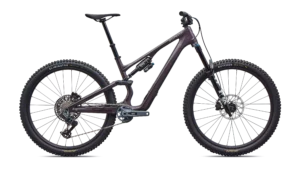 Stumpjumper 15 EVO Expert AXS